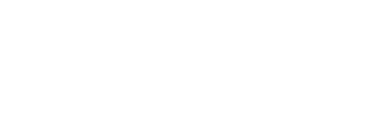 LOGO APPIA