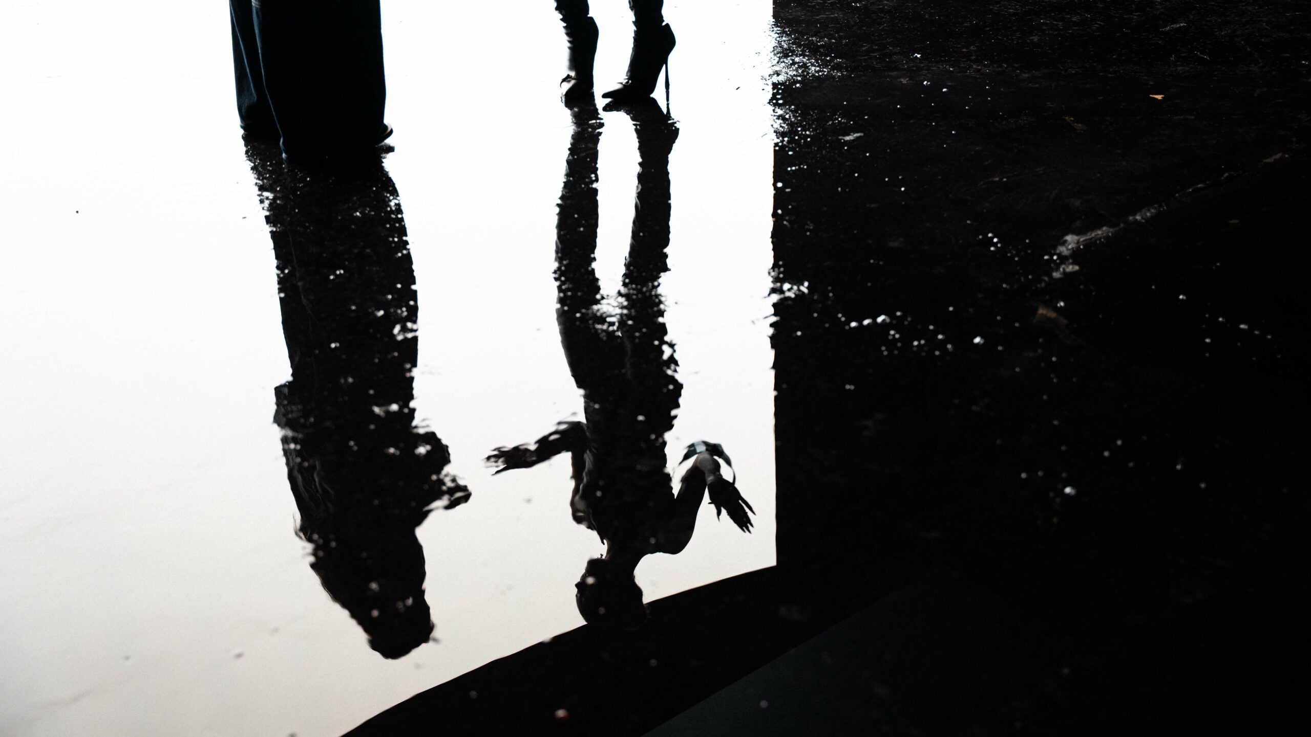 Studio LED VPH Clip ICO